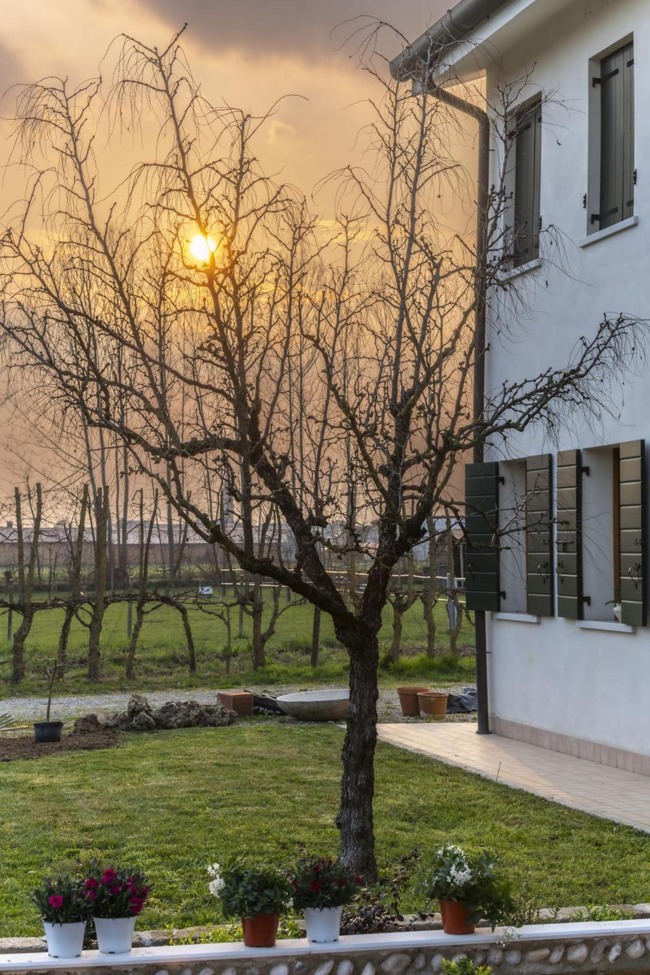 Agriturismo Al Botteniga Treviso Exterior photo