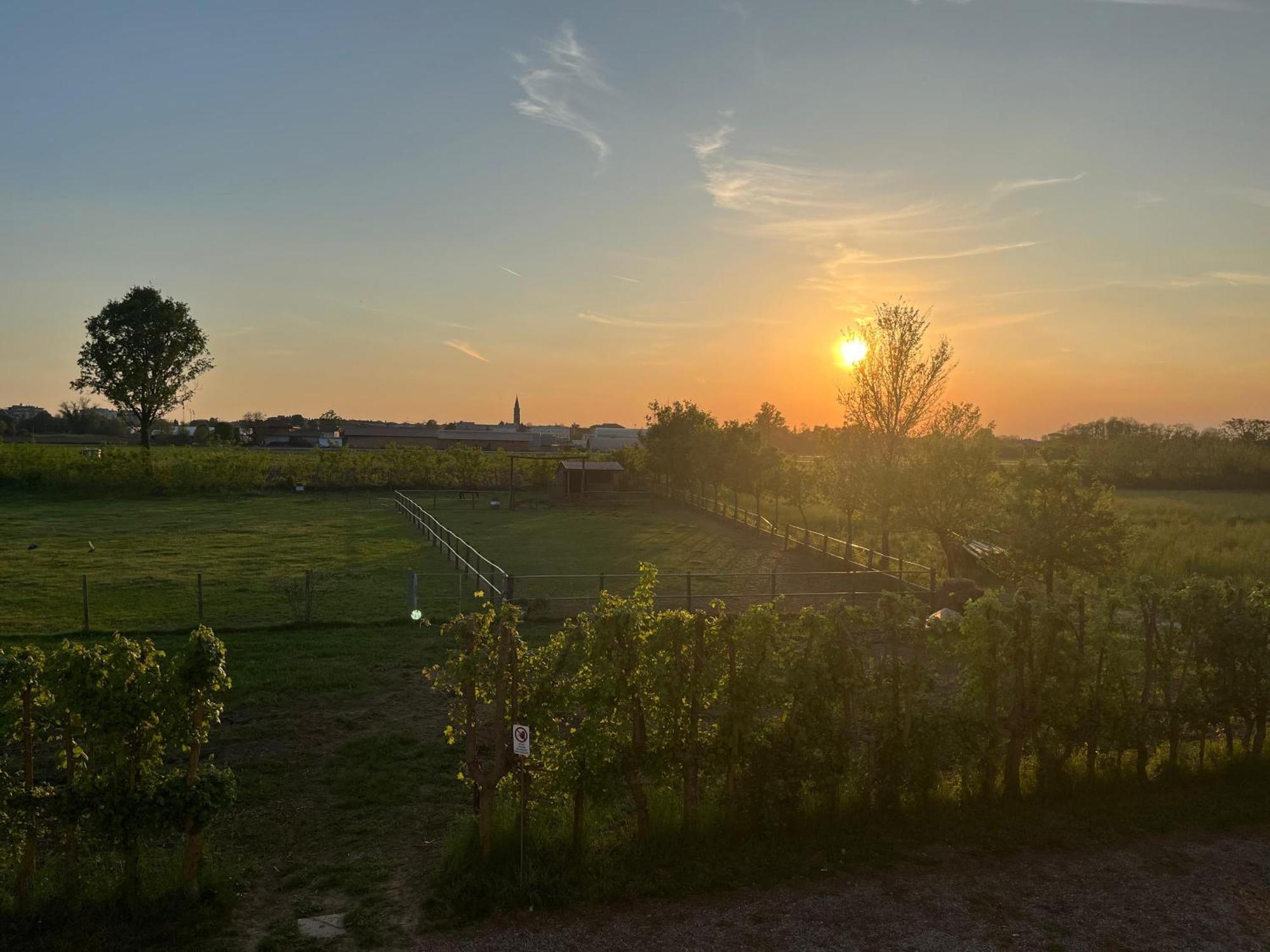 Agriturismo Al Botteniga Treviso Exterior photo